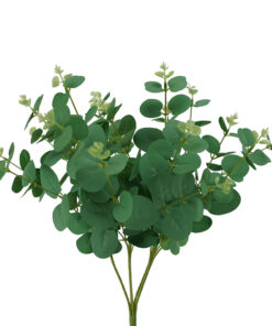 Eucalyptus Bush 50 cm