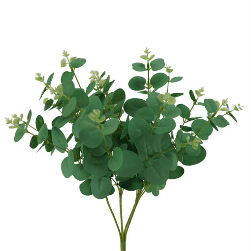 Eucalyptus Bush 50 cm