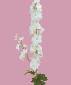 White Stock Stem 108CM