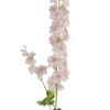 Pink Stock Stem 108CM