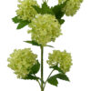Green Snow Ball Spray 77CM