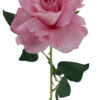 Pink Lady Velvet Rose Stem 54CM