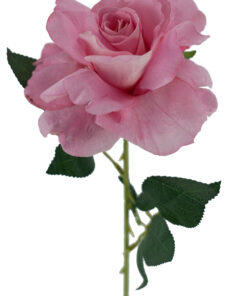 Pink Lady Velvet Rose Stem 54CM